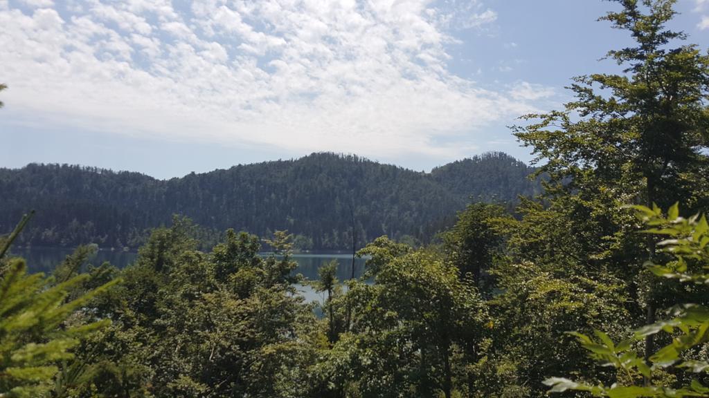 Holiday Home Bozica 洛克维 外观 照片